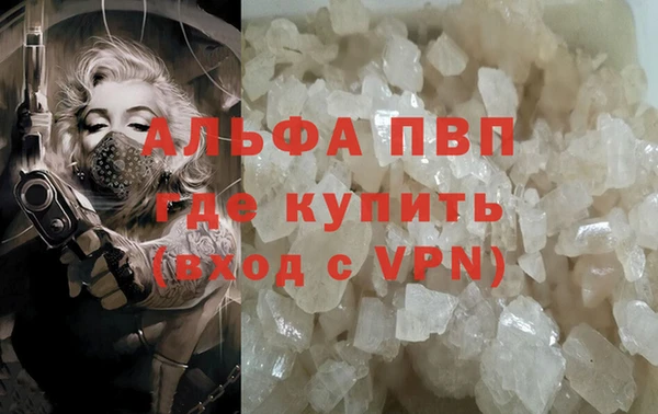 СК Алзамай