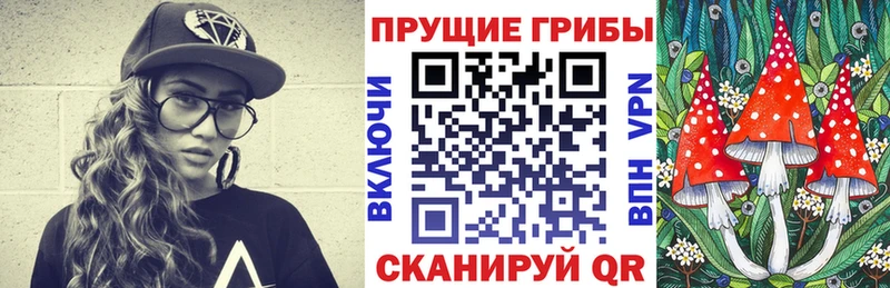 Псилоцибиновые грибы мицелий  hydra ONION  Богучар 